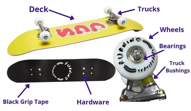Parts of a Skateboard